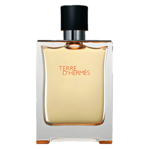 Sans titre (1) TERRE D’HERMÈS - EAU DE TOILETTE - 100 ML