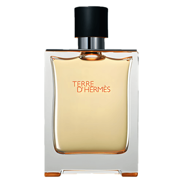 Sans titre (1) TERRE D’HERMÈS - EAU DE TOILETTE - 100 ML