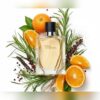 img_2427 TERRE D’HERMÈS - EAU DE TOILETTE (100 ML)
