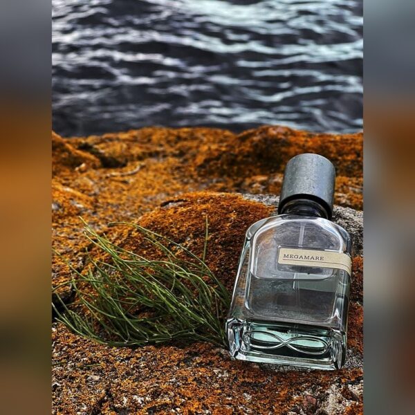 MEGAMARE - PARFUM (50ML)